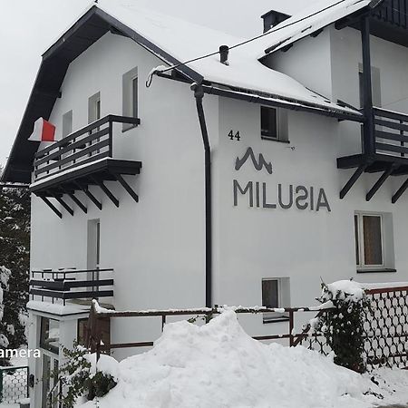 Hotel Milusia Muszyna Extérieur photo